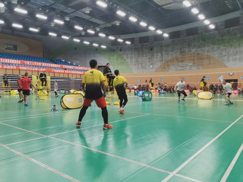 2019川崎慈善杯暨九天網(wǎng)羽羽毛球團(tuán)體邀請賽 網(wǎng)絡(luò)競技與公益交融的盛會圓滿成功