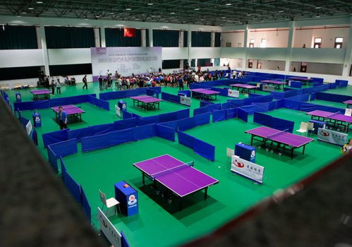 乒乓小將龍川競技 2021年江蘇省少兒乒乓球冠軍賽開幕，網絡競技球掀起新熱潮